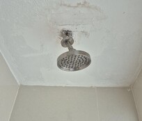 master bath shower head