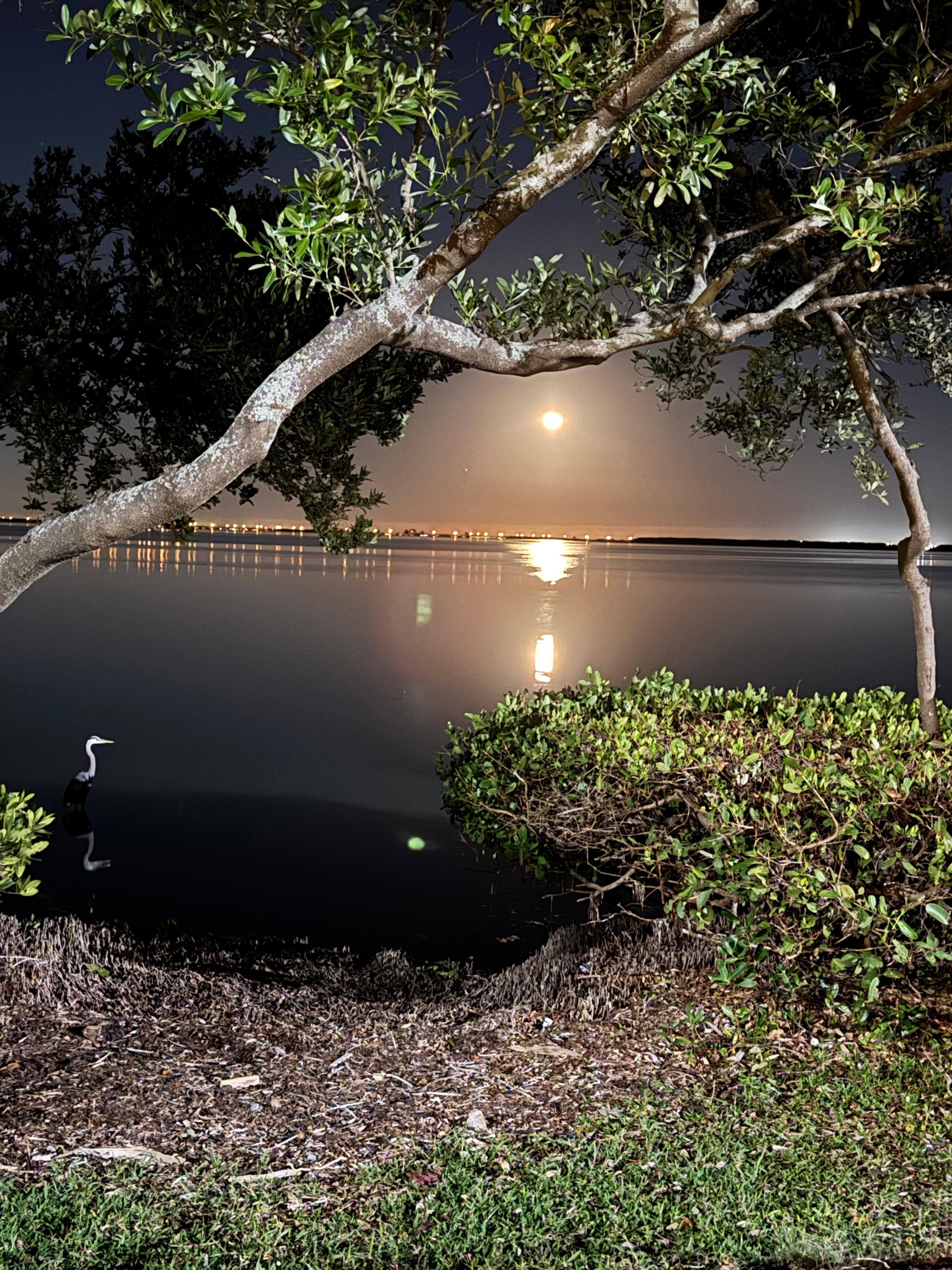 Full moon rising over bay