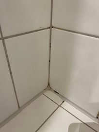 grime (the video of the bug crawling on the bathroom floor does not upload)