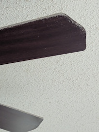 Ceiling fan dust