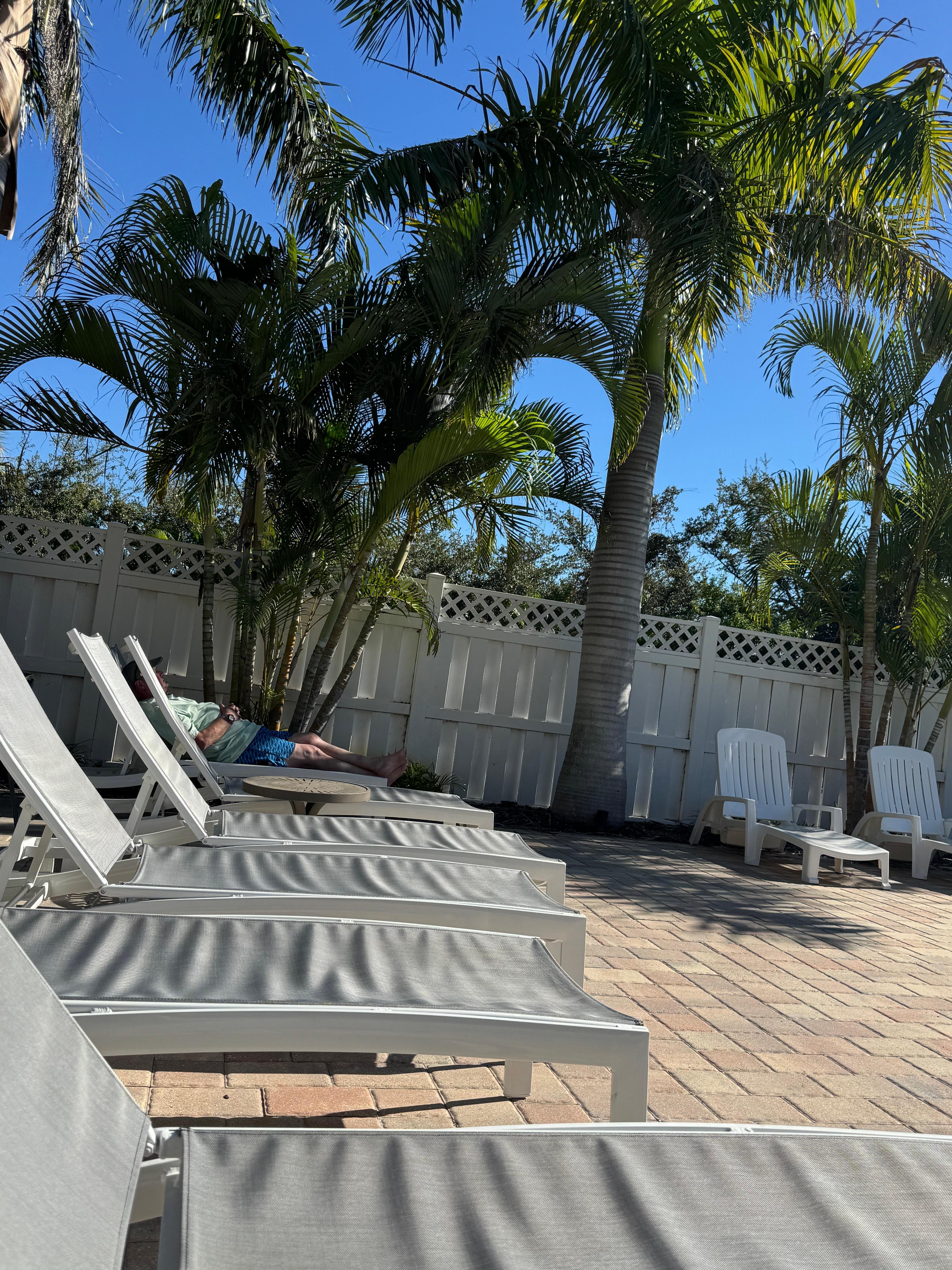 A peaceful area by the pool to relax 