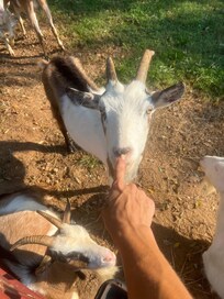 So cute and friendly