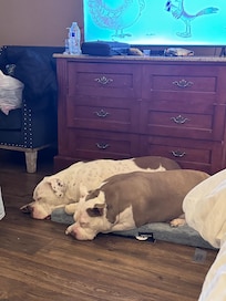 My dogs had a good time too!!