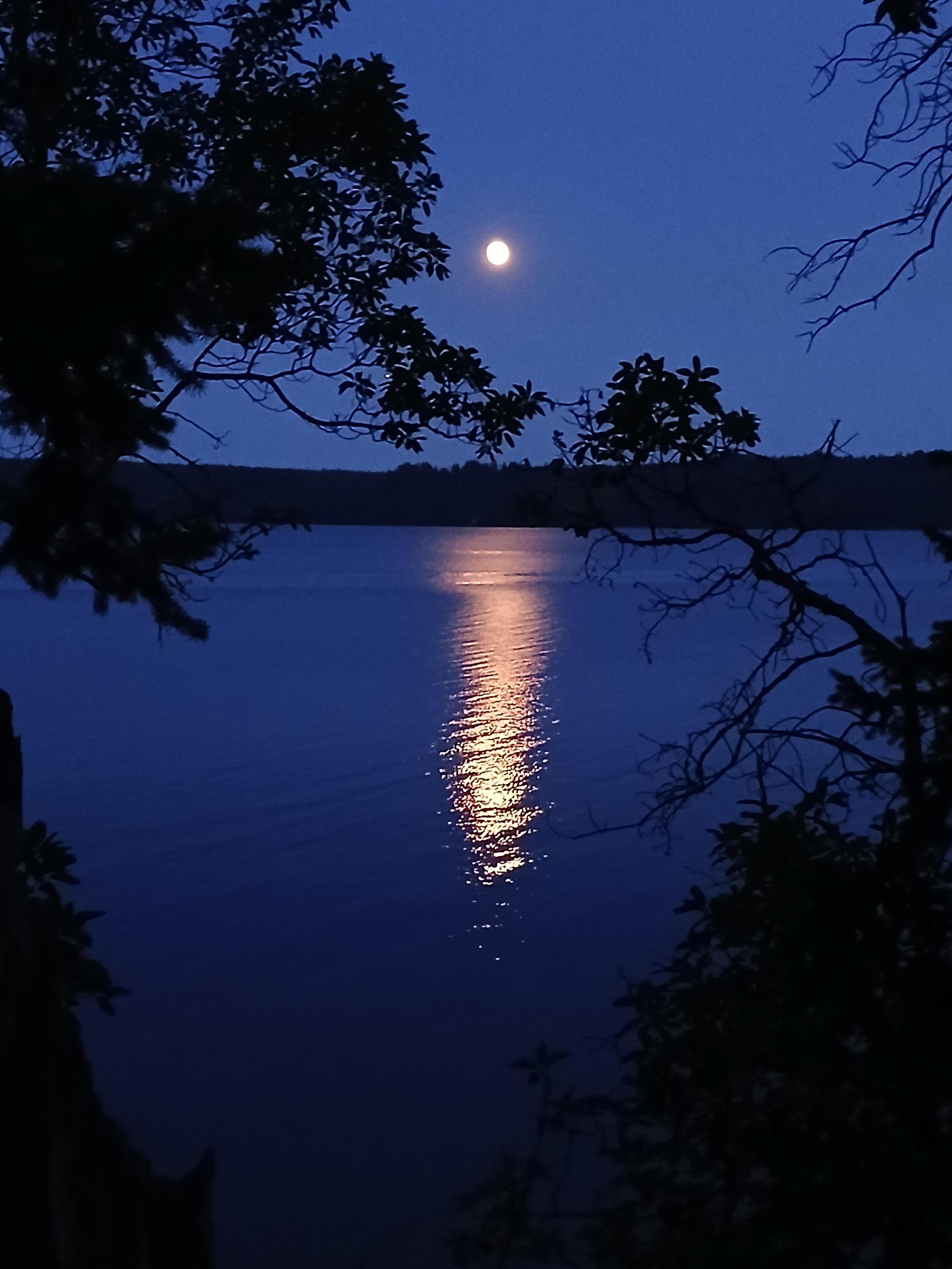 Full moon over Hood Canal