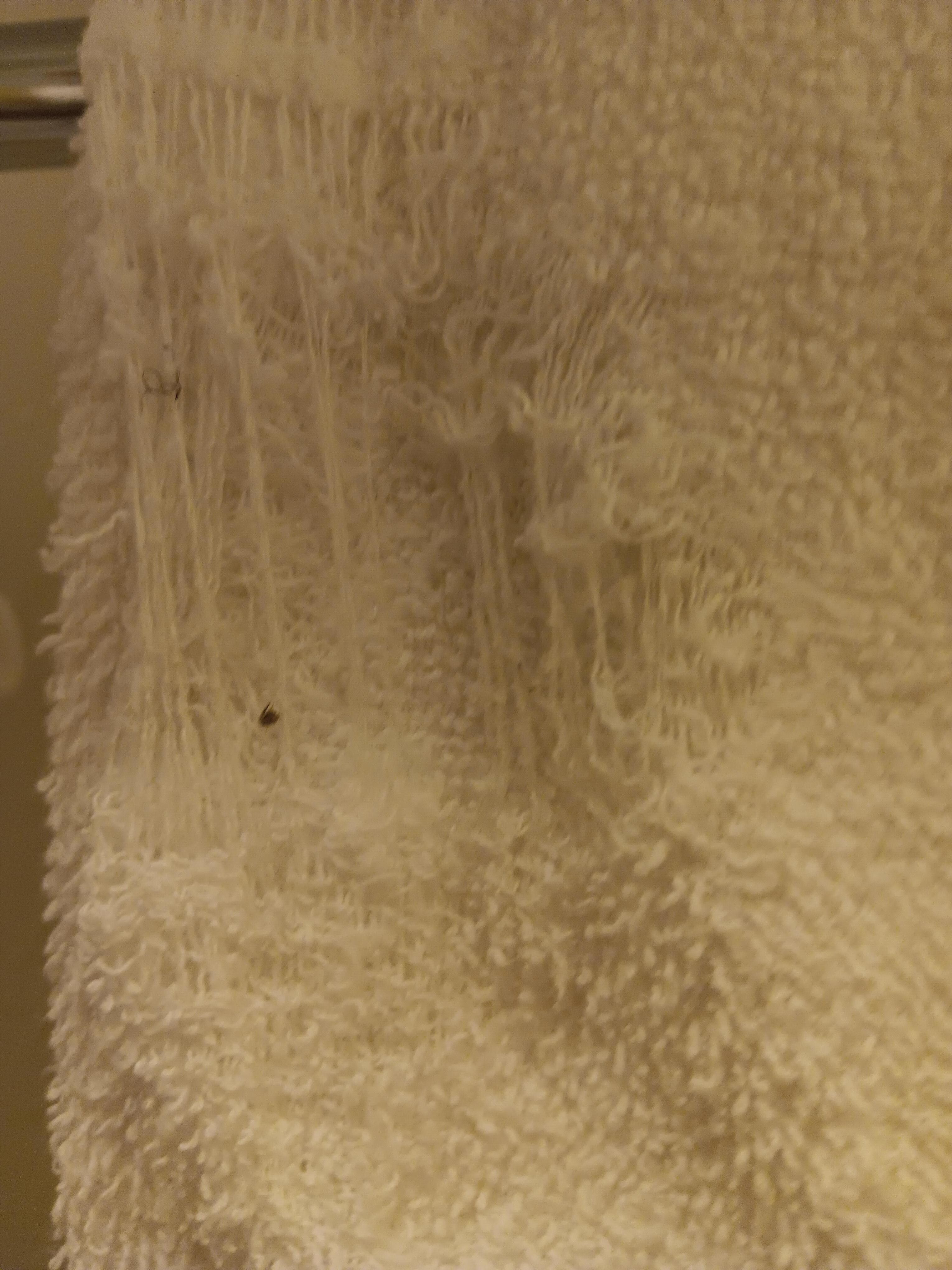Worn out dirty wash cloth that was hanging for us to use.