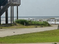 View from porch