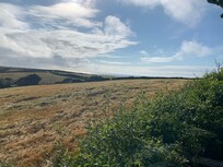 View from the decking