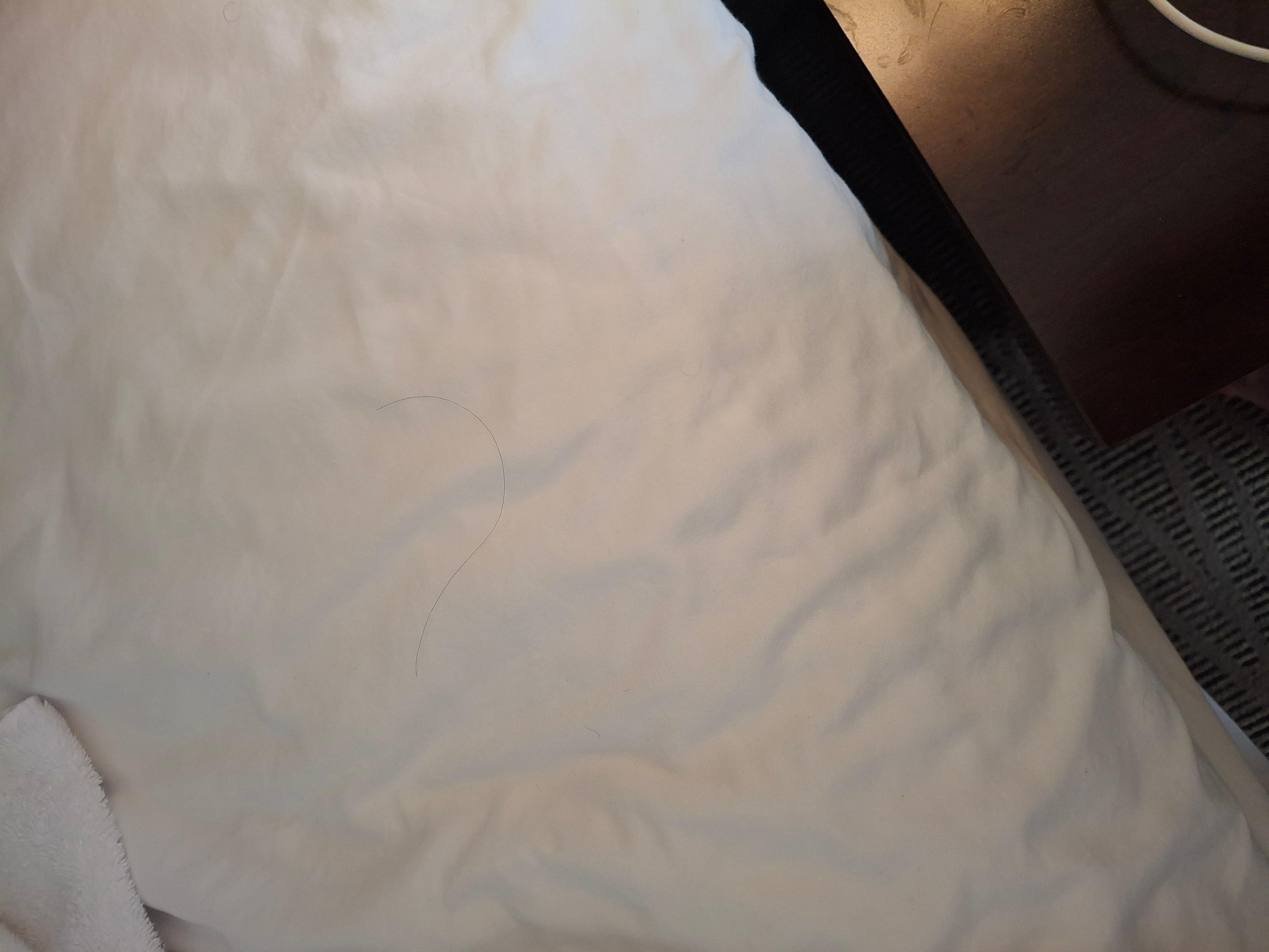 Long hair on bed. It's not mine,I'm bald.