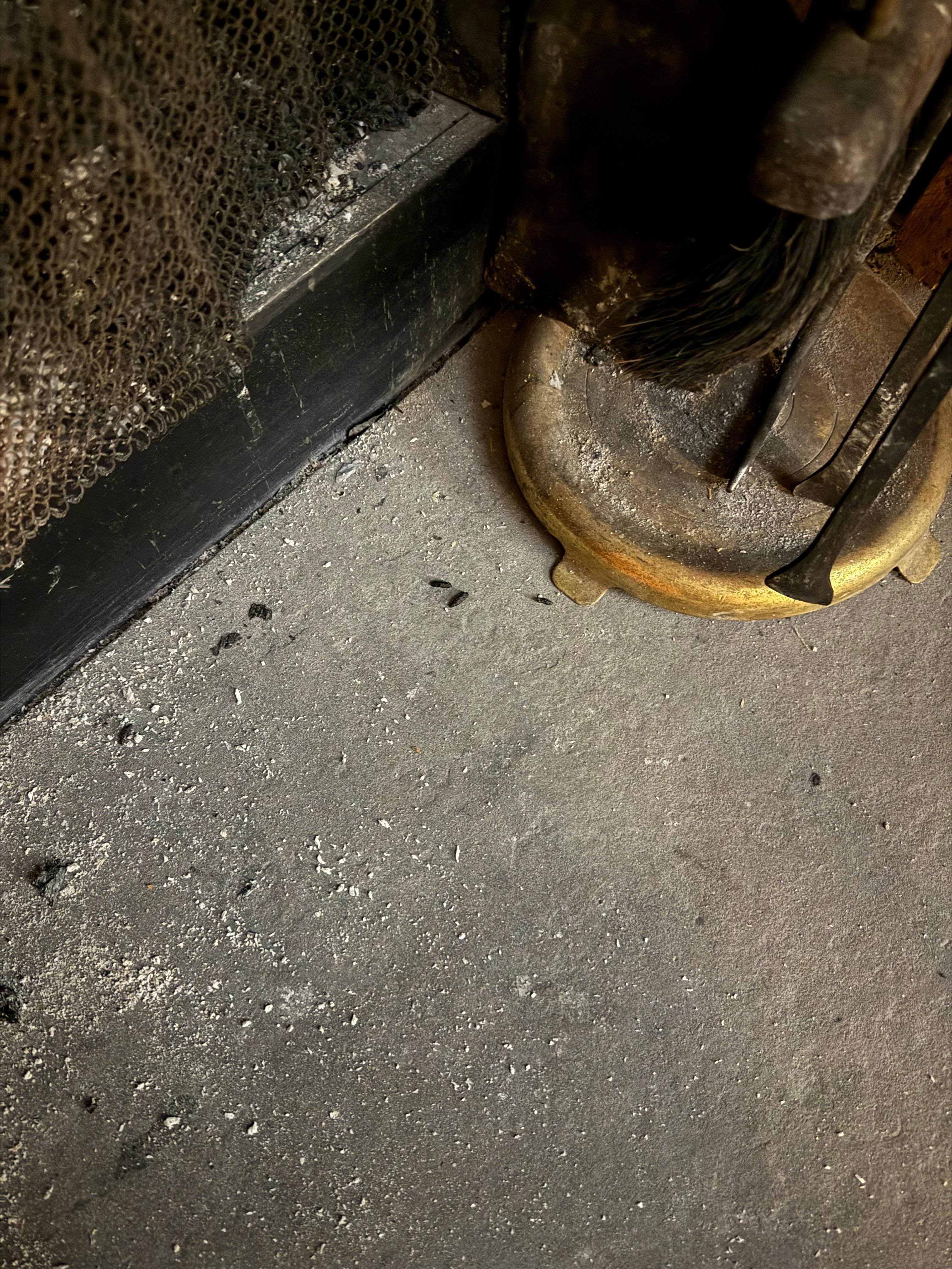 This is the fireplace. All mouse poop and ash. 