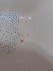 Rust in downstairs bath