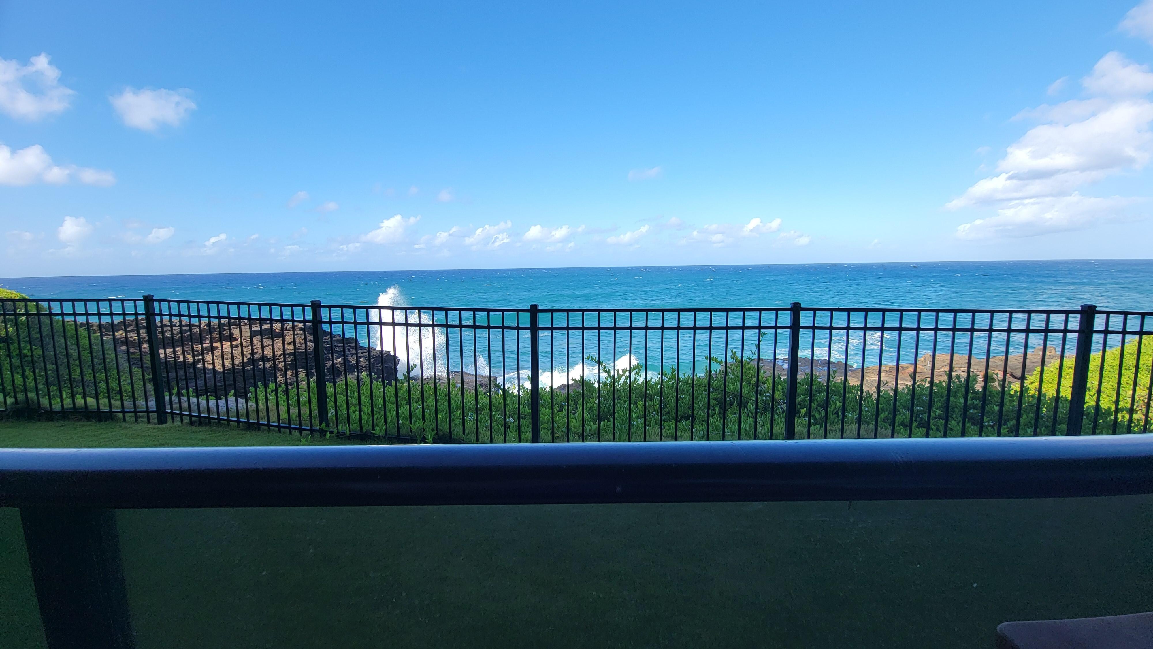 Lanai view
