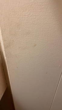 Stains on the wall