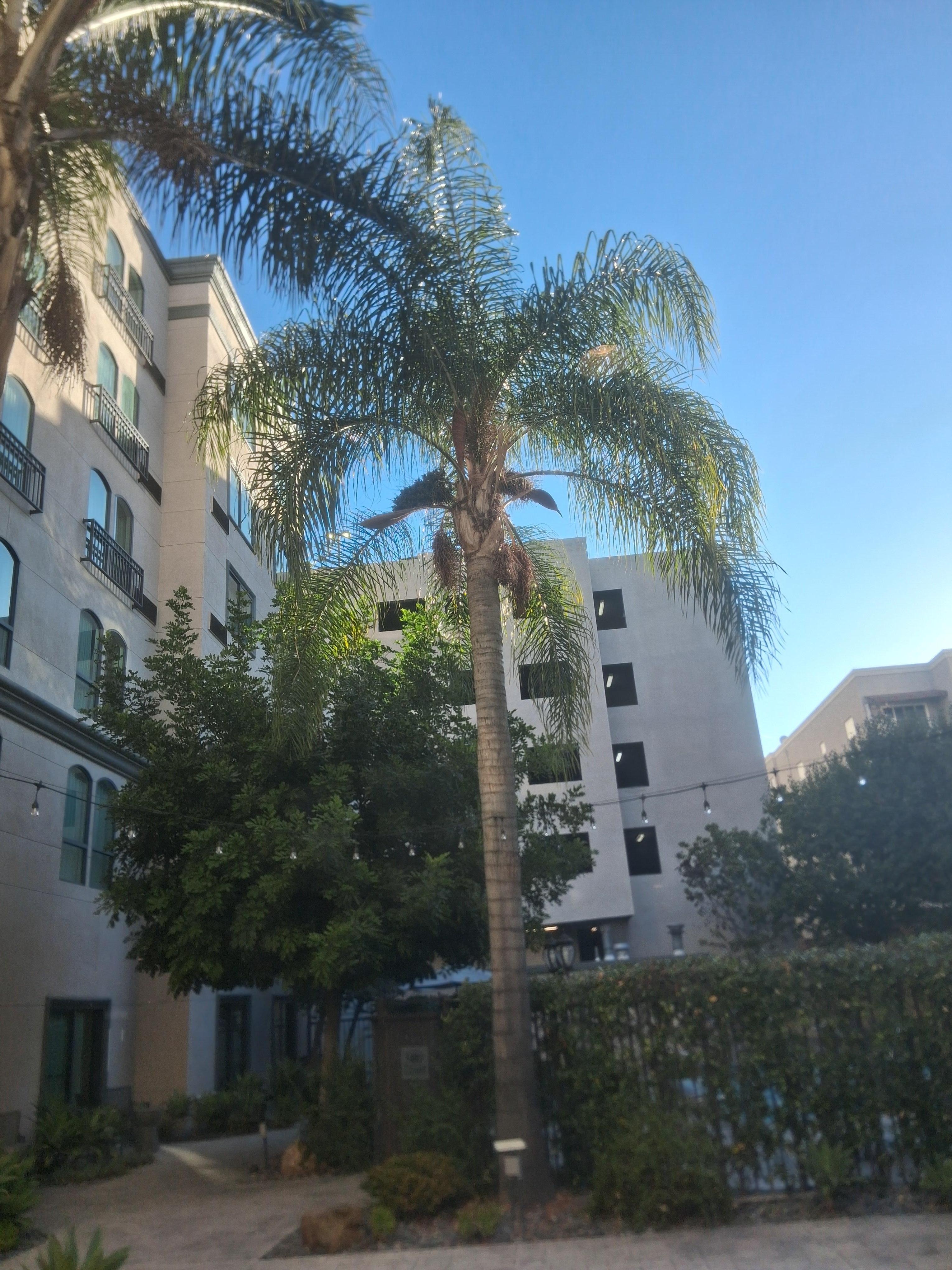 The pool courtyard with hot tub and open pit fireplace