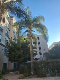 The pool courtyard with hot tub and open pit fireplace