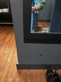 Taches d’excréments dans la salle de bain