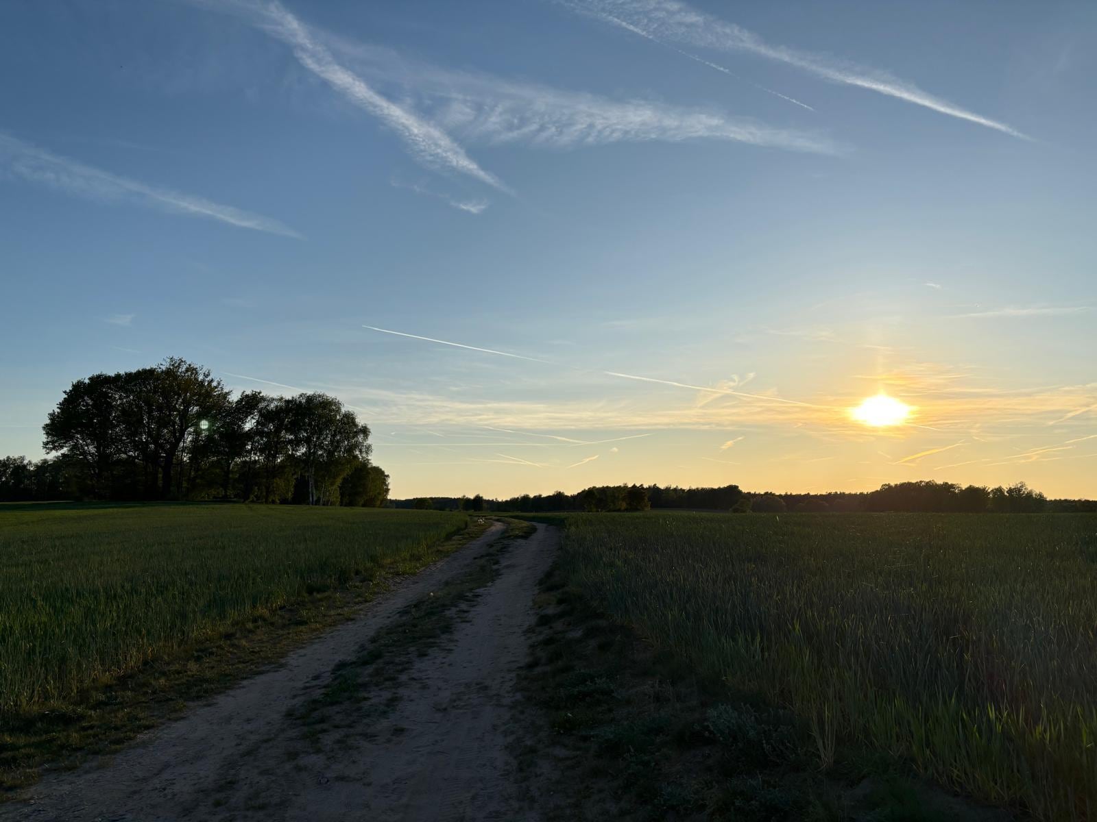 Spaziergang in der Umgebung