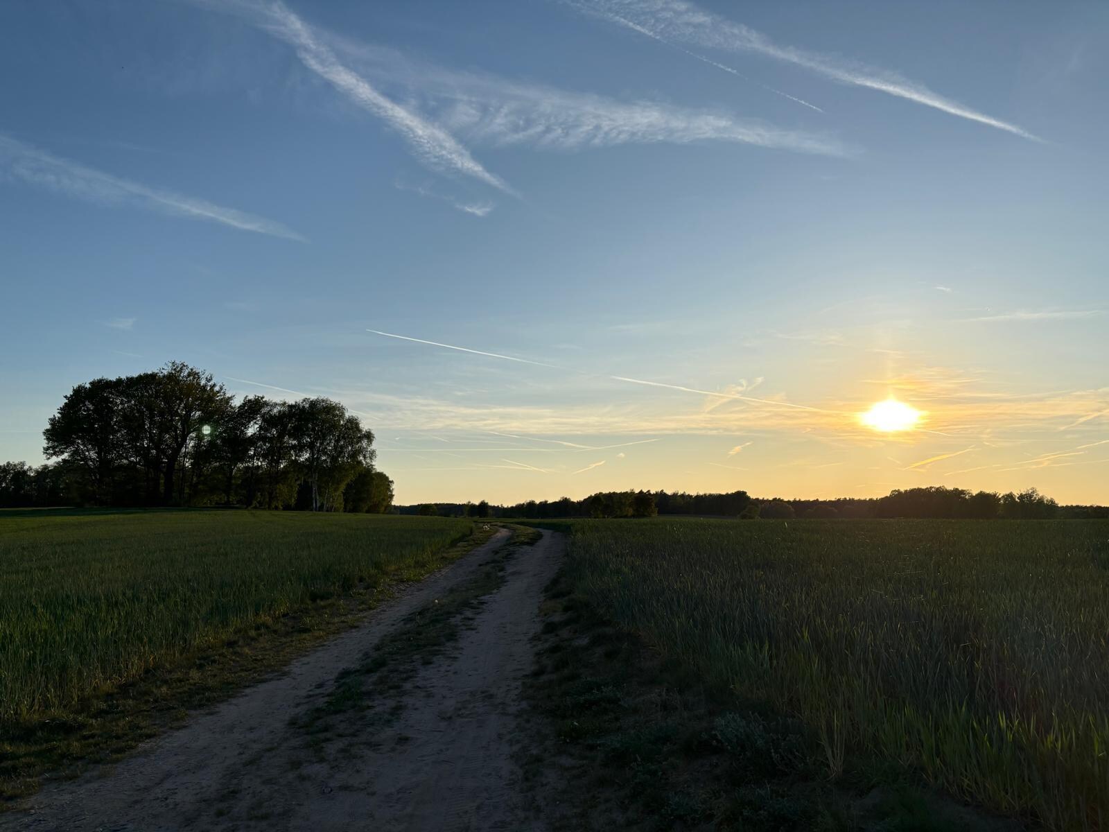 Spaziergang in der Umgebung 