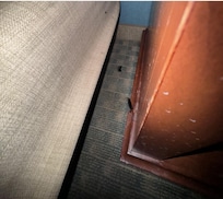Lashes on the floor from previous guests