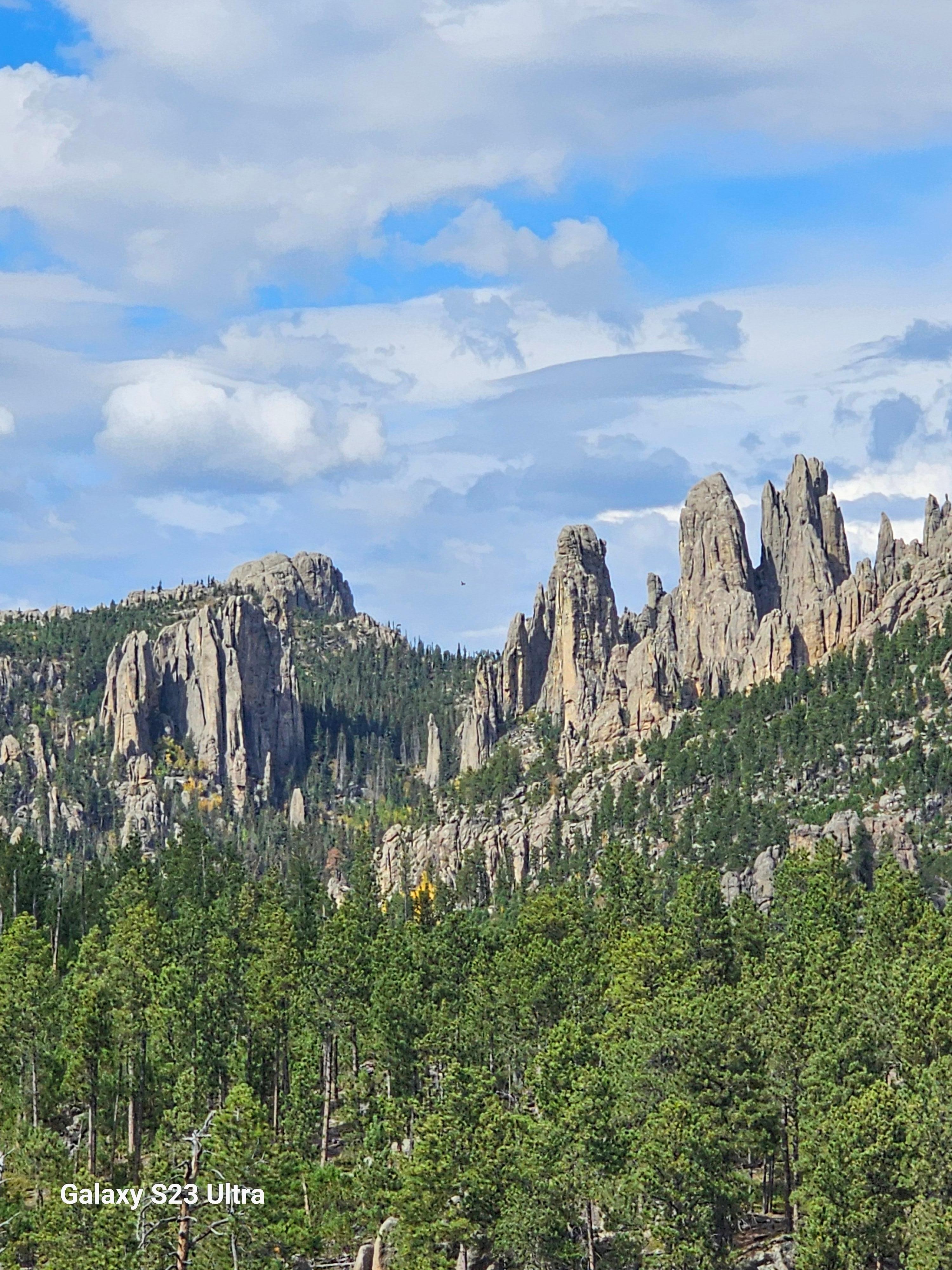 From the Needles Highway 