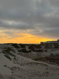The view