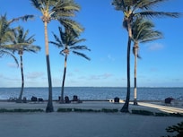 The view