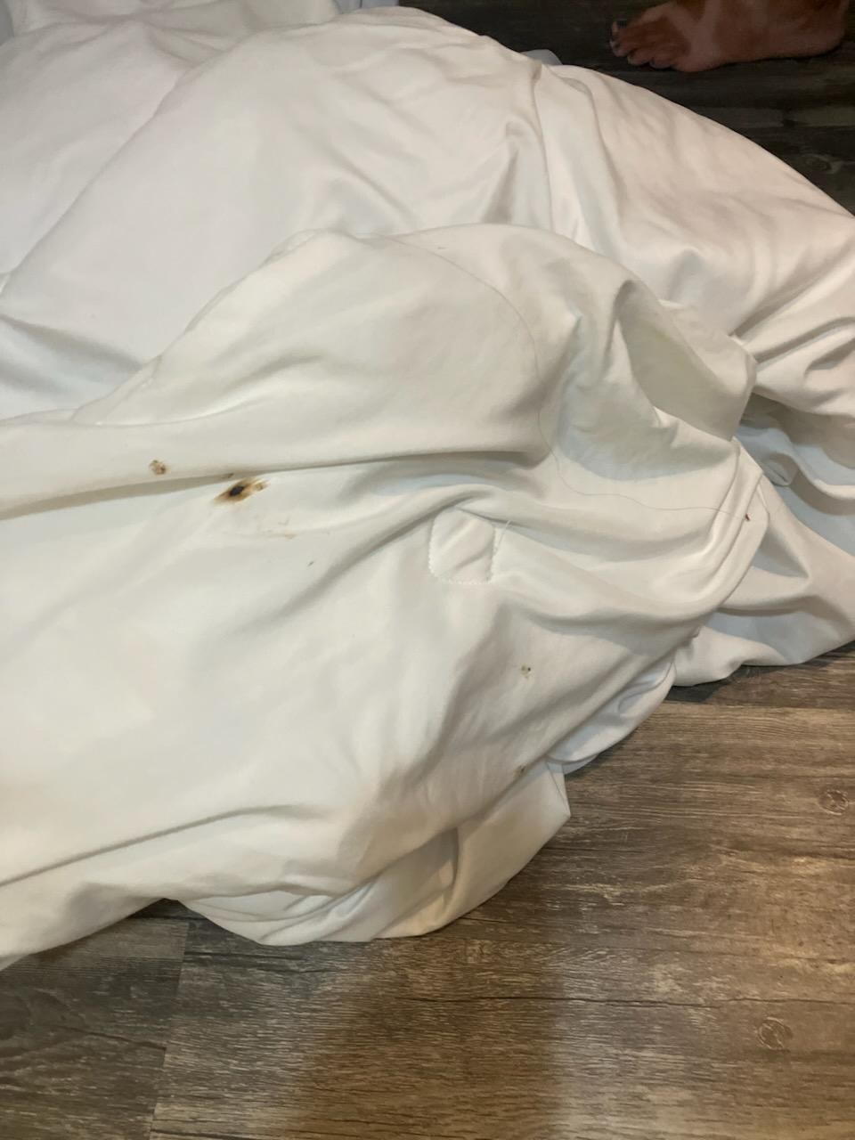 Soiled comforter 
