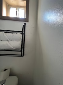 Lavatory window