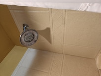 Calcified shower head