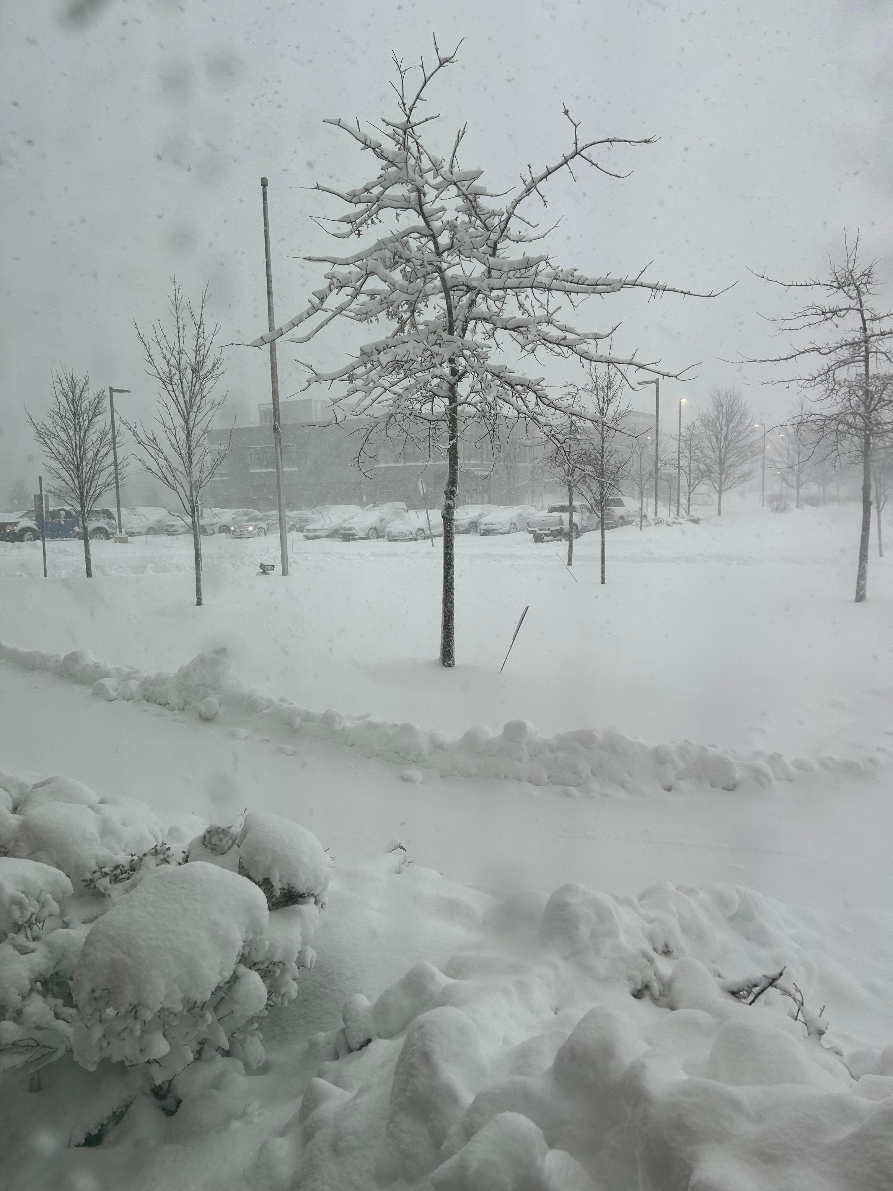 We stayed 2 nights due to blizzard! Very relaxing and we were warm!!! Crews busy 24 hours cleaning lot.