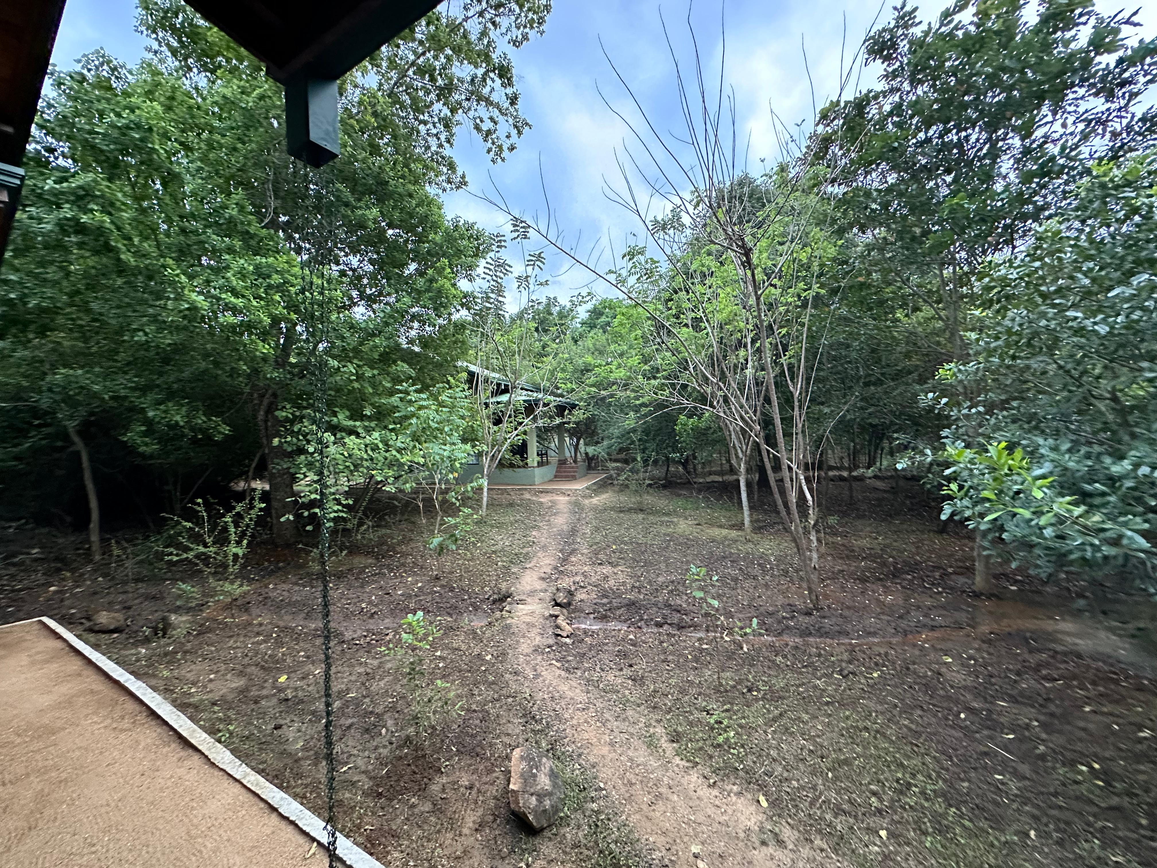 Foot trail to cottage