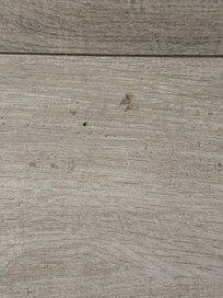 Stains on the floors that should have been mopped cleaned