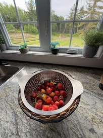 Strawberries from the garden