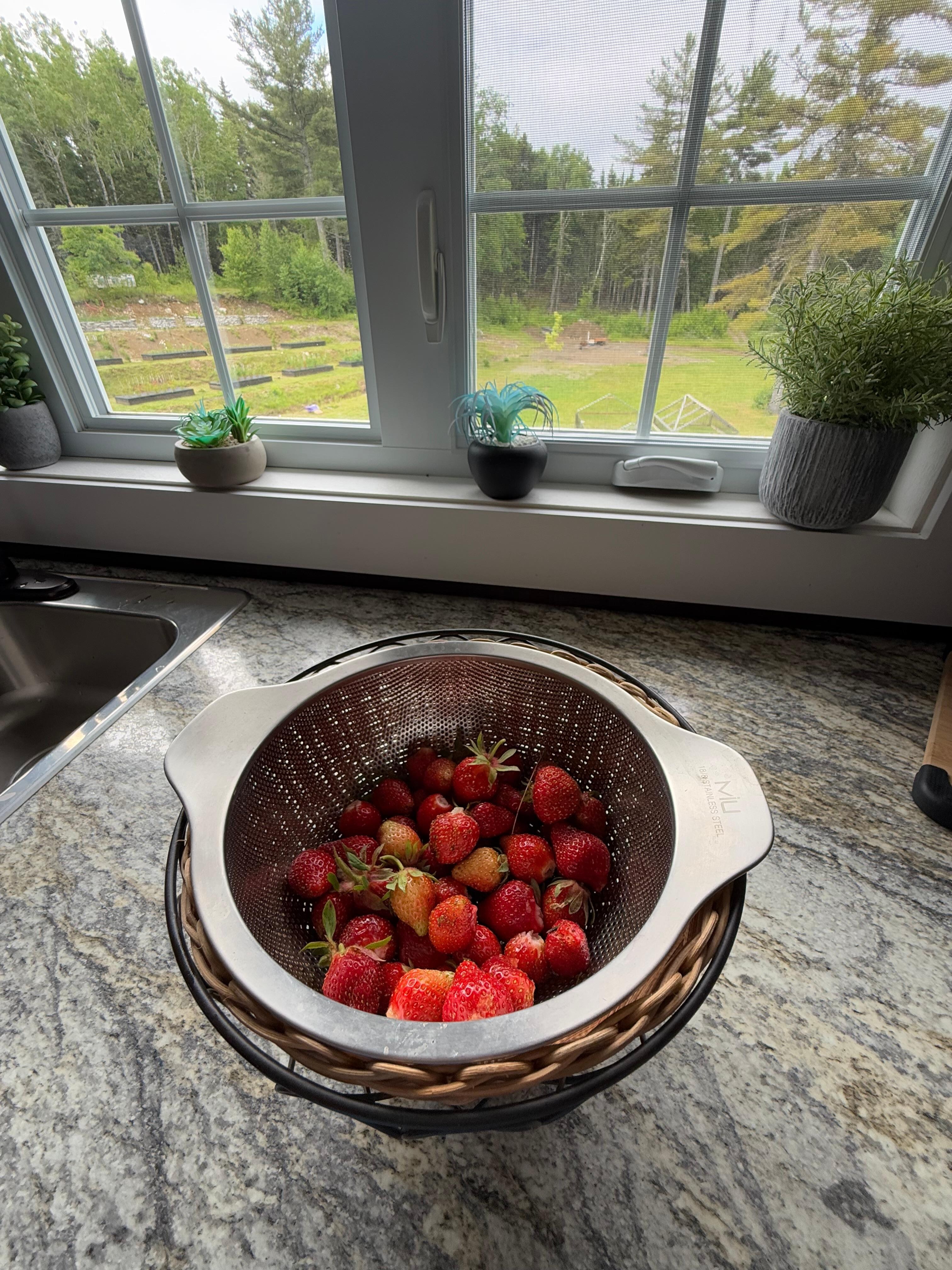 Strawberries from the garden 