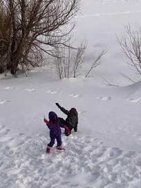 Back yard for the weekend