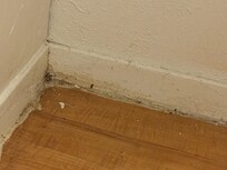 Just one example of the dirty floors