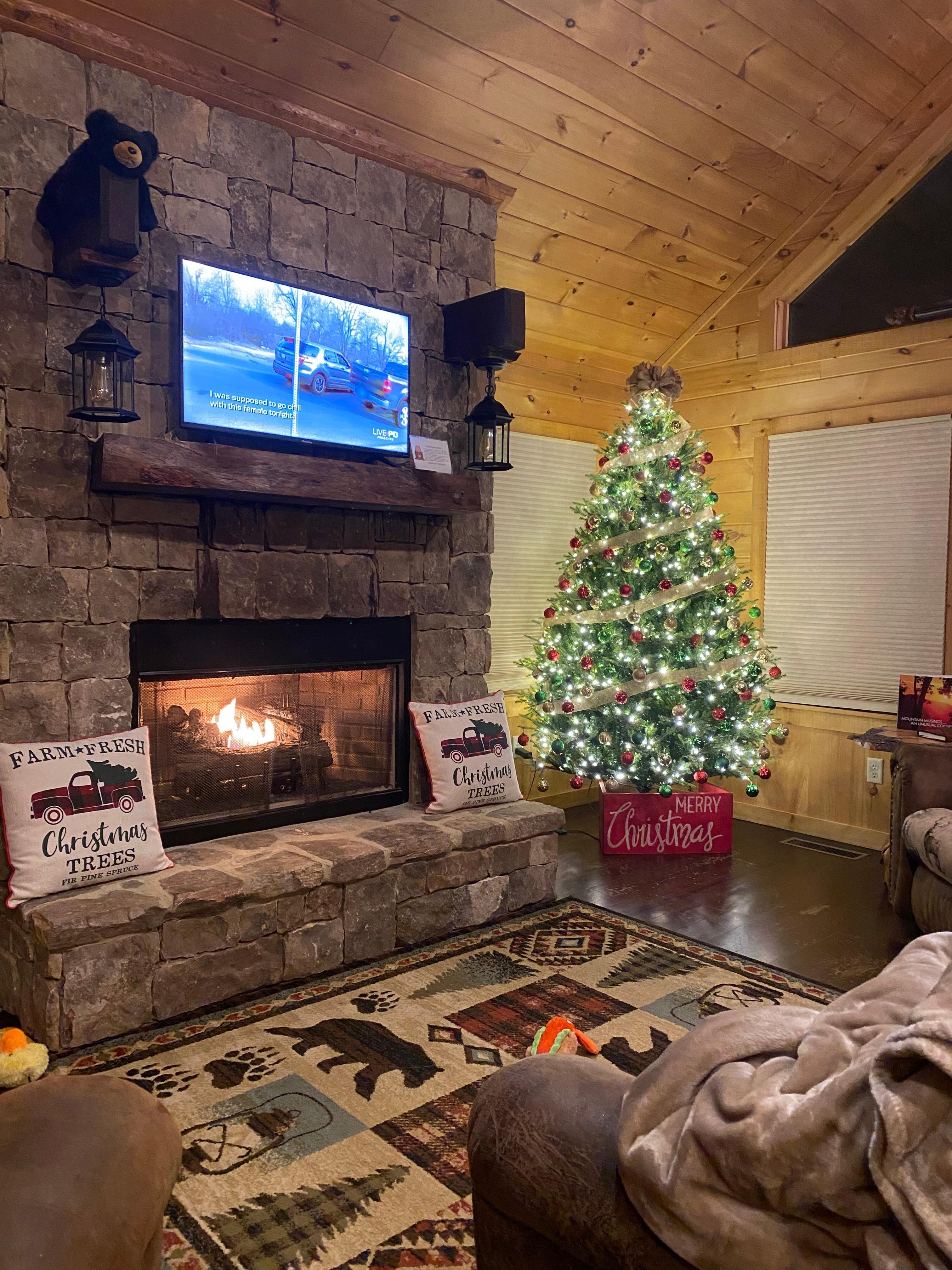 Beautiful Christmas tree and cozy gas fireplace 