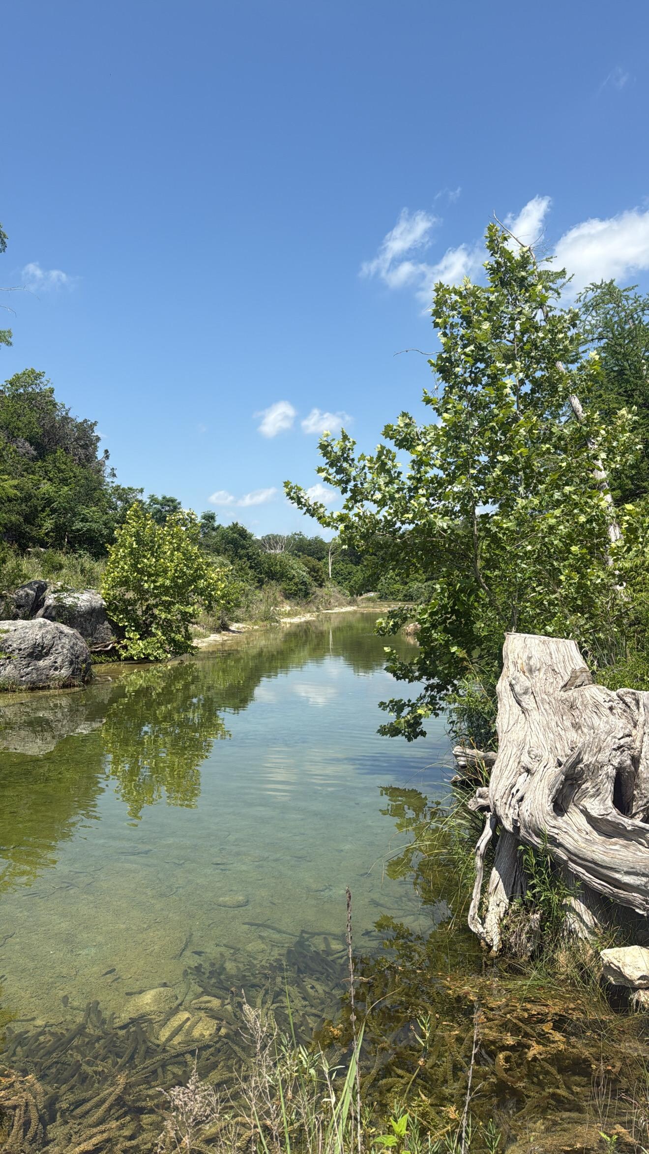 View of the river - short walk down