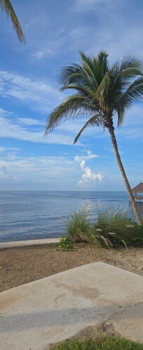 View from a sitting area