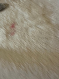 Towel had lipstick stain on it.