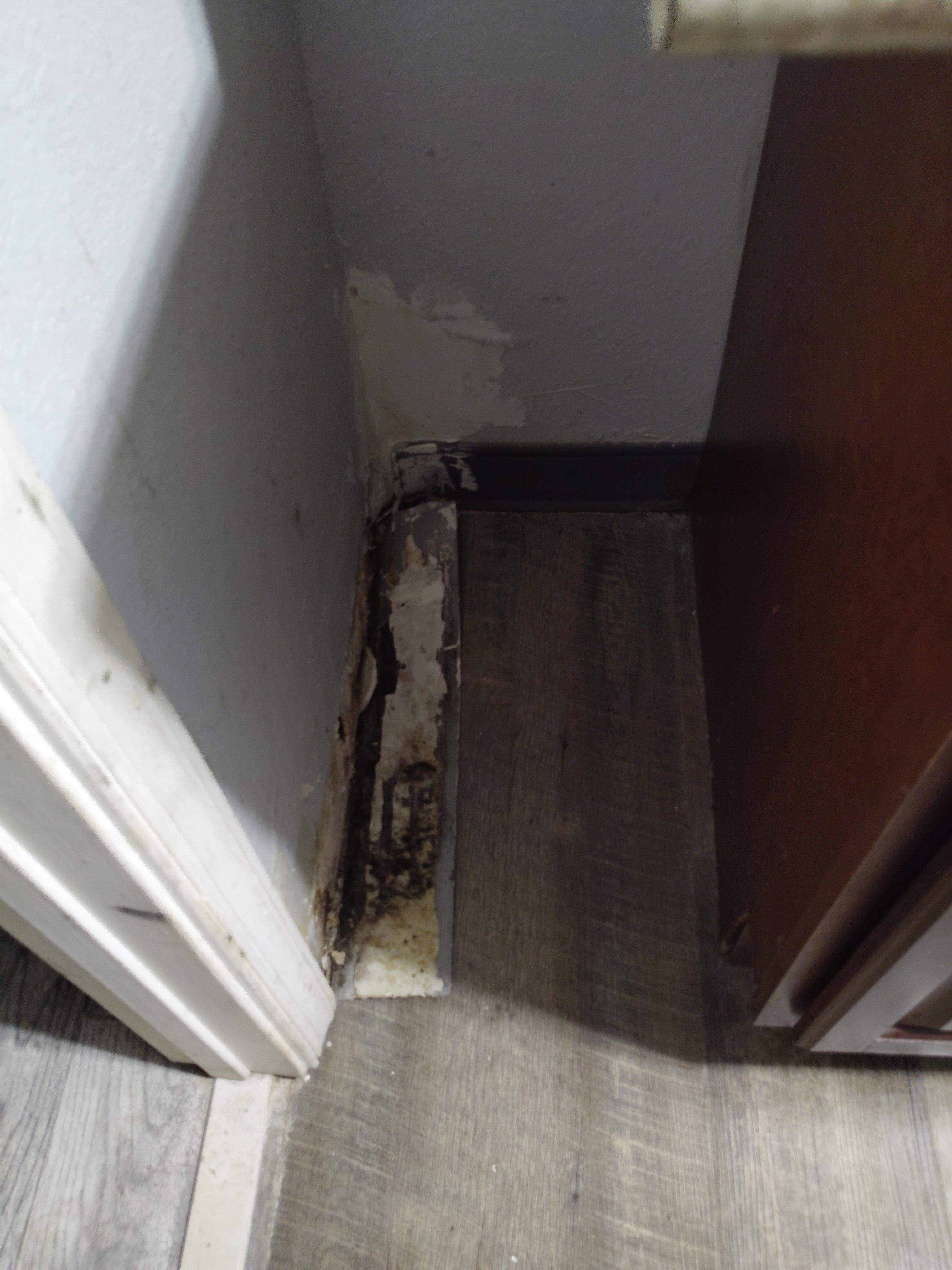 Floor trim torn loose from wall and left laying on floor