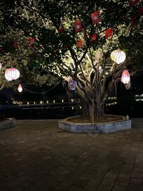 Very close to the lake