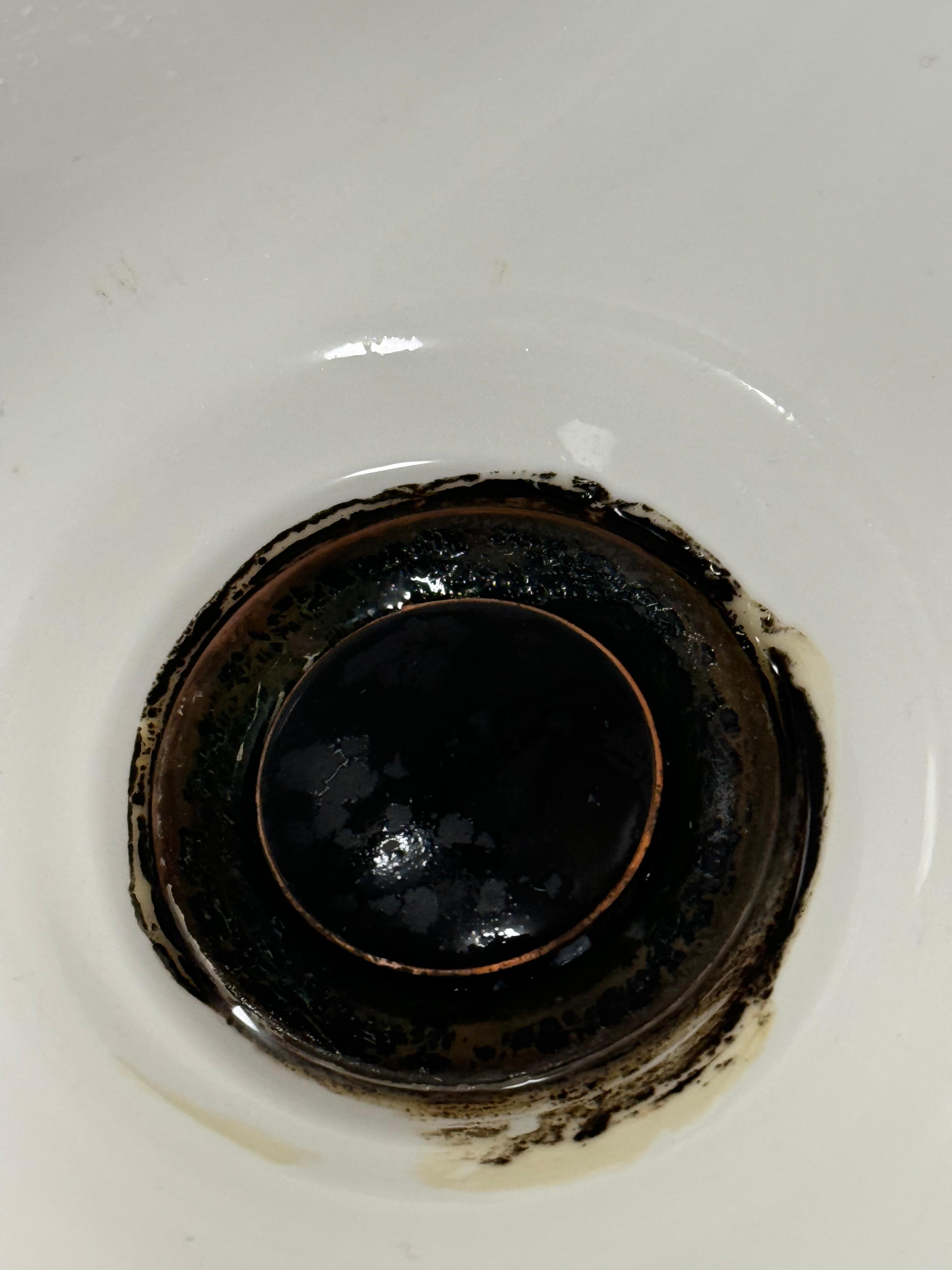 Moldy sink drain