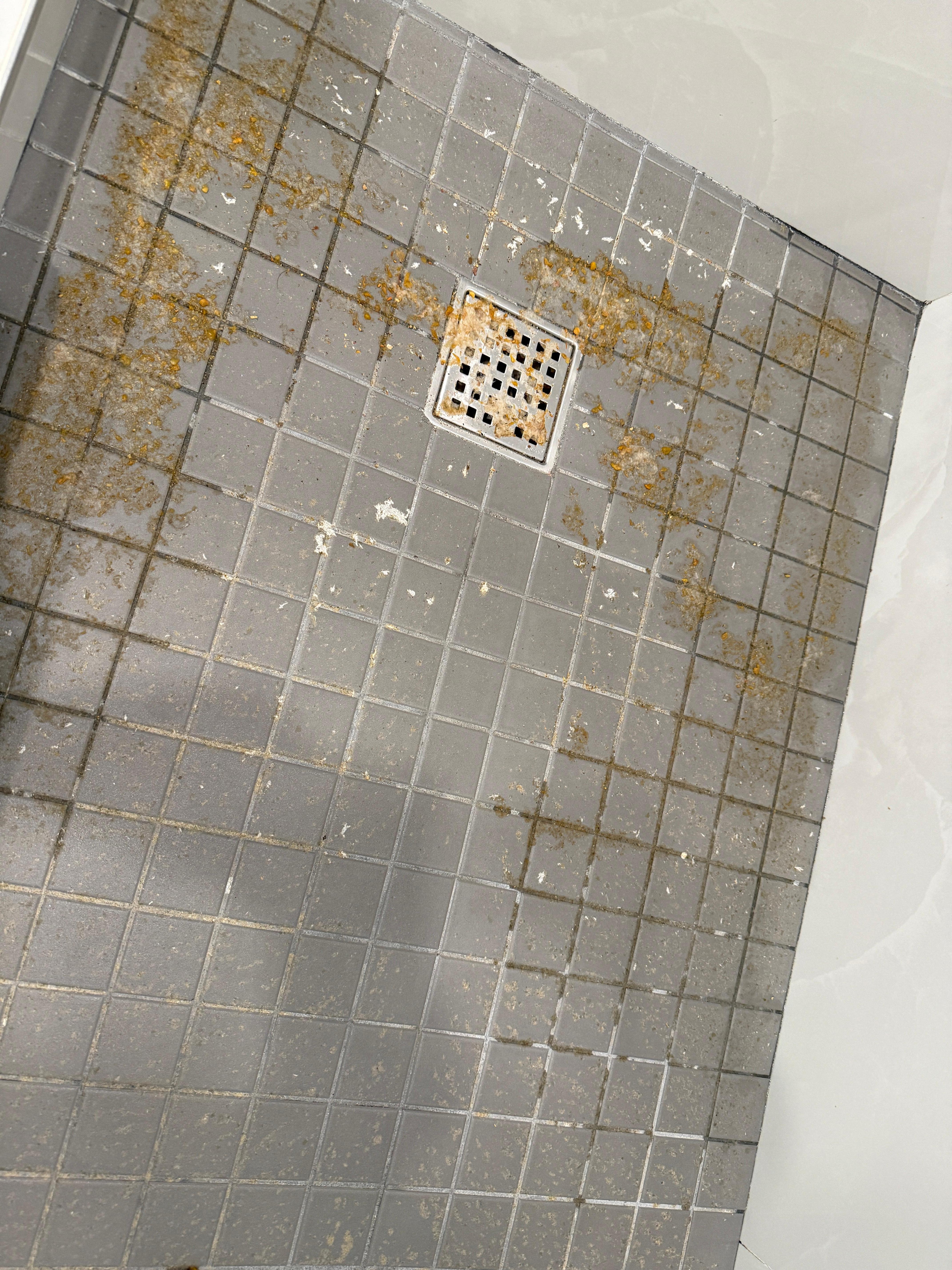 unknown grunge on shower floor