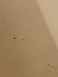 Bathtub