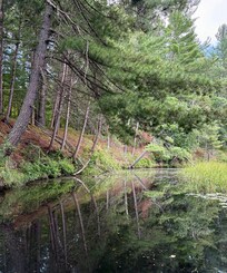 Kayaking on Mud Brook