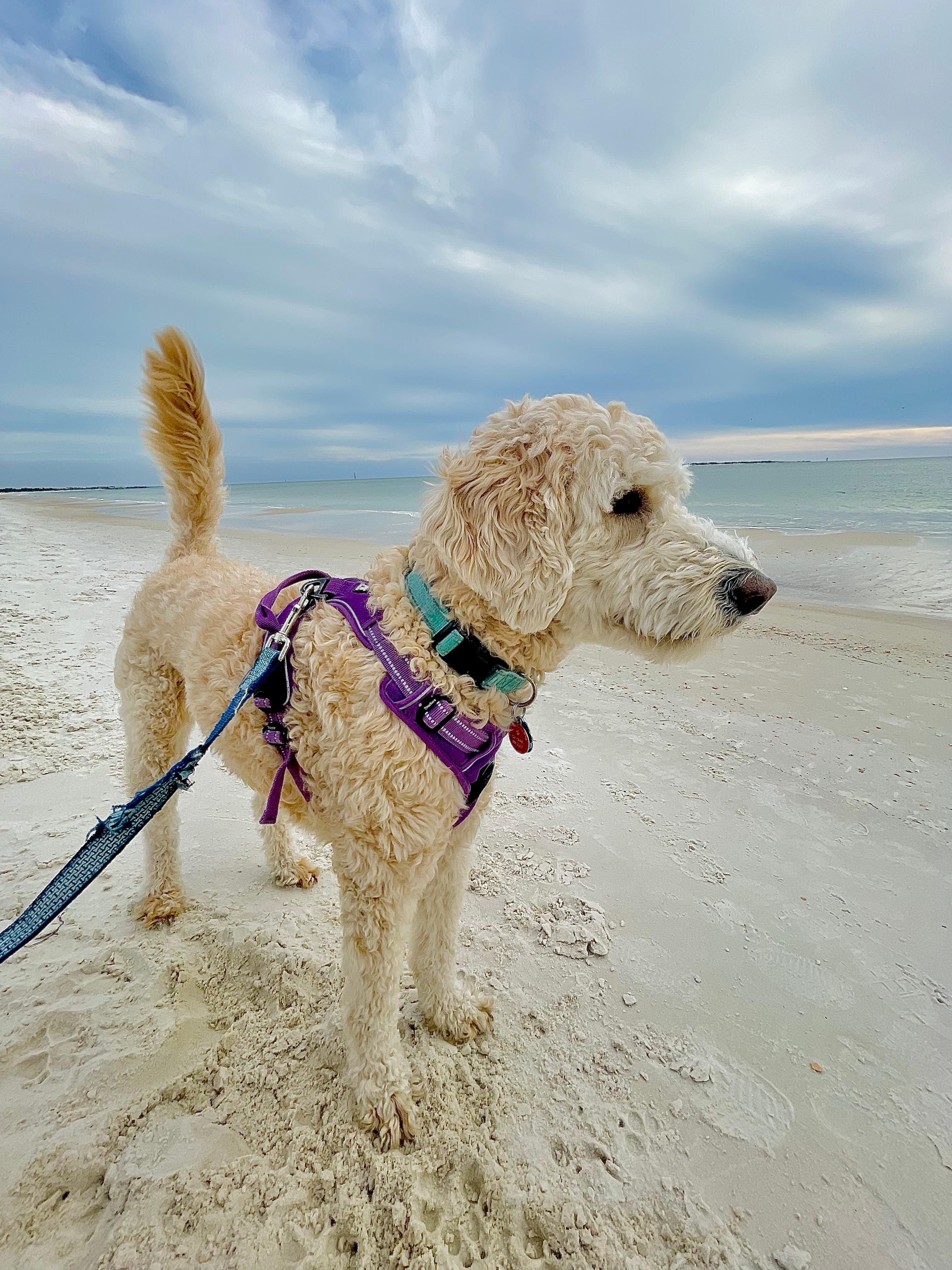 Open beach with no crowds