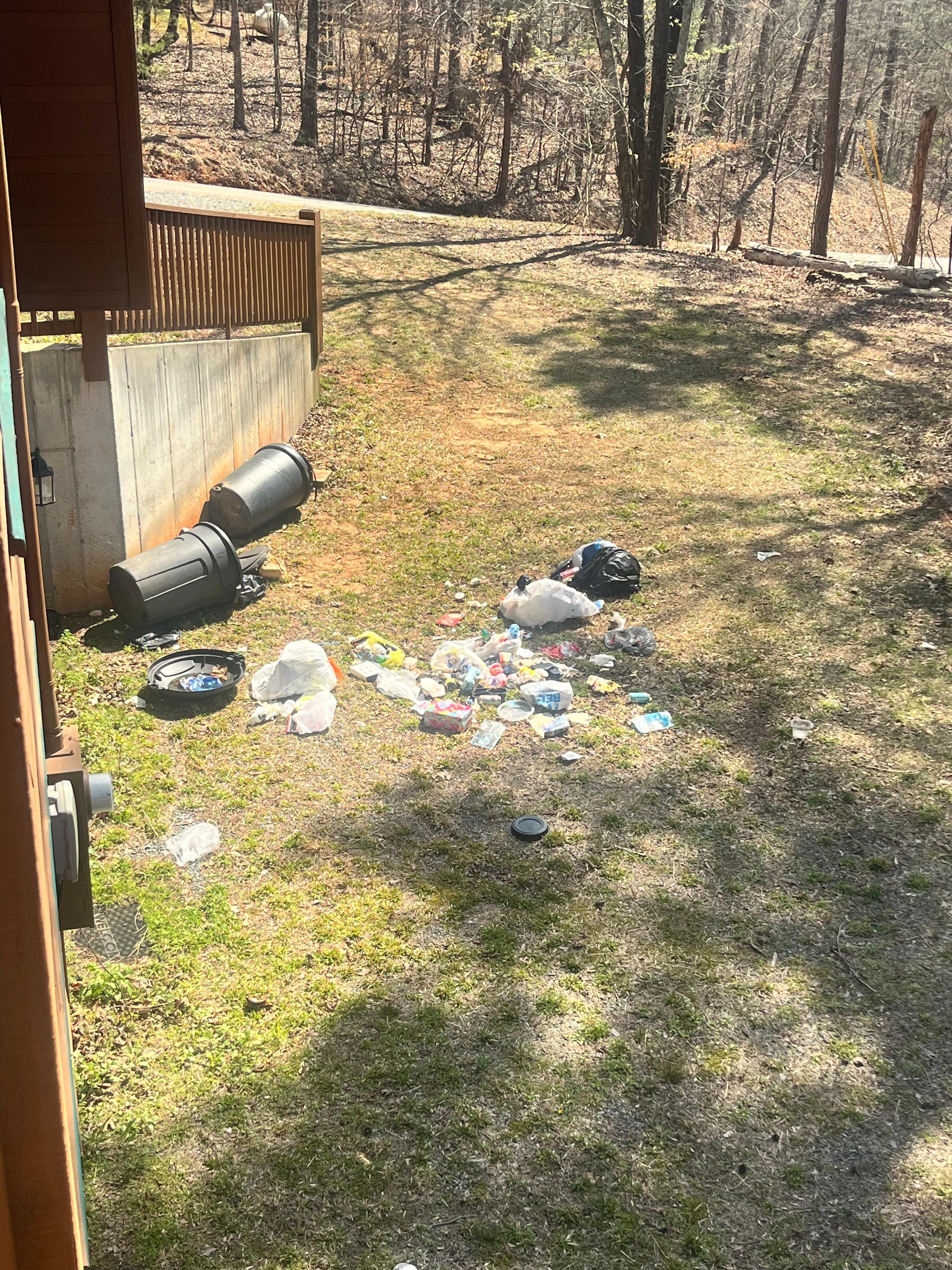Morning picture of trash