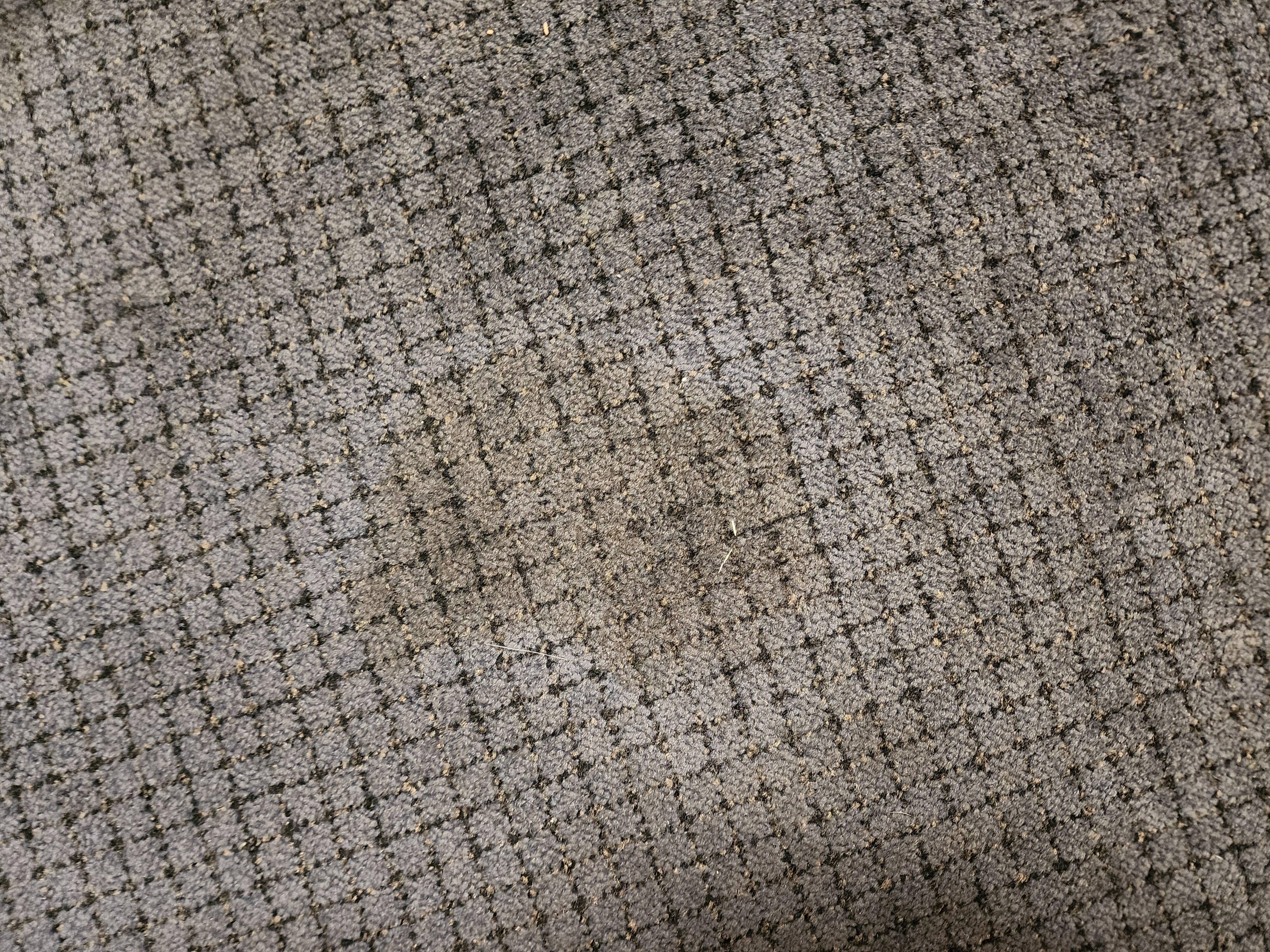 Stains all over the carpet