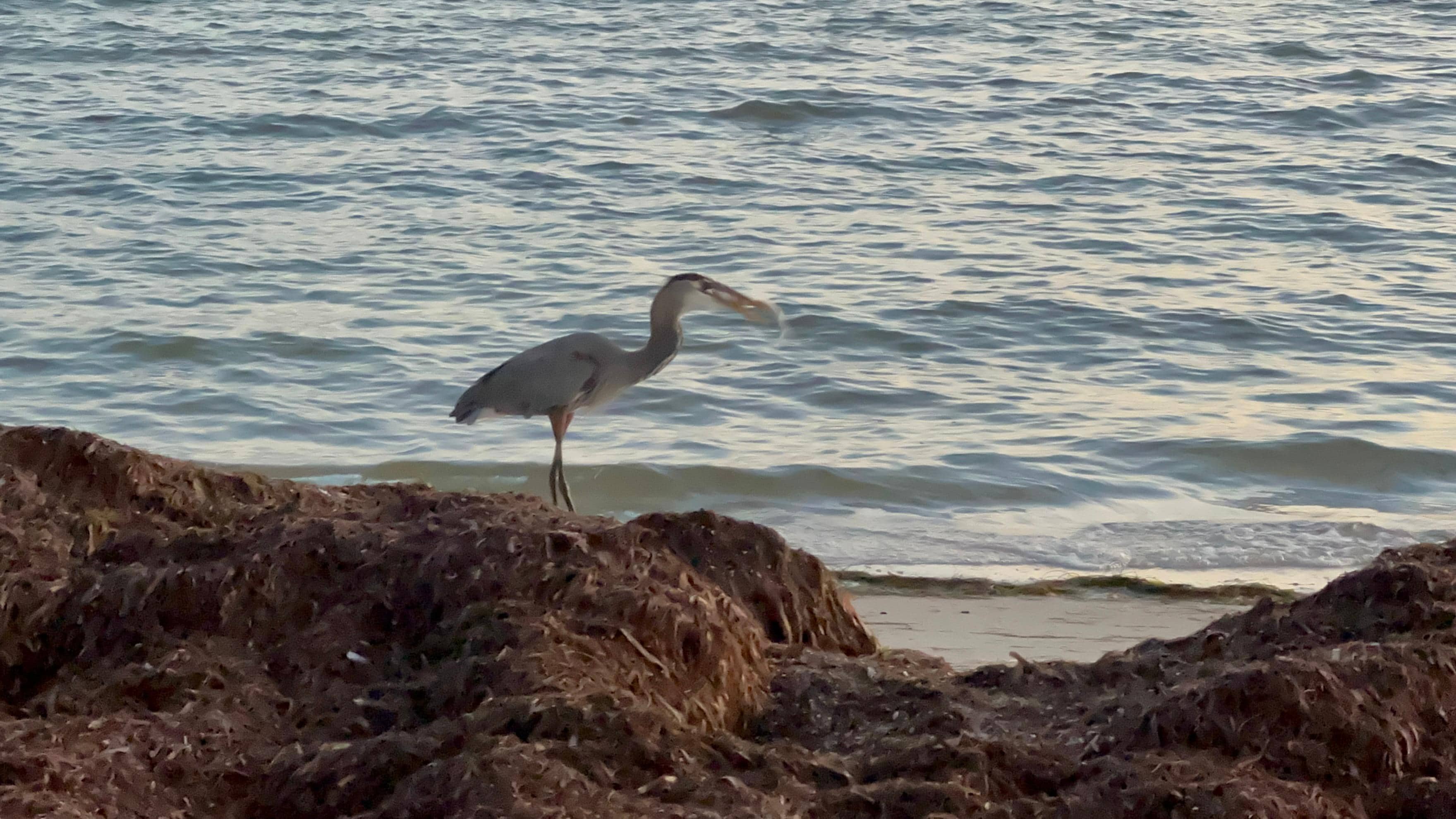 .5 mile walk to spectacular sunrise 