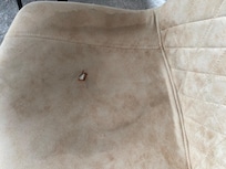 Stains and Damaged Furniture